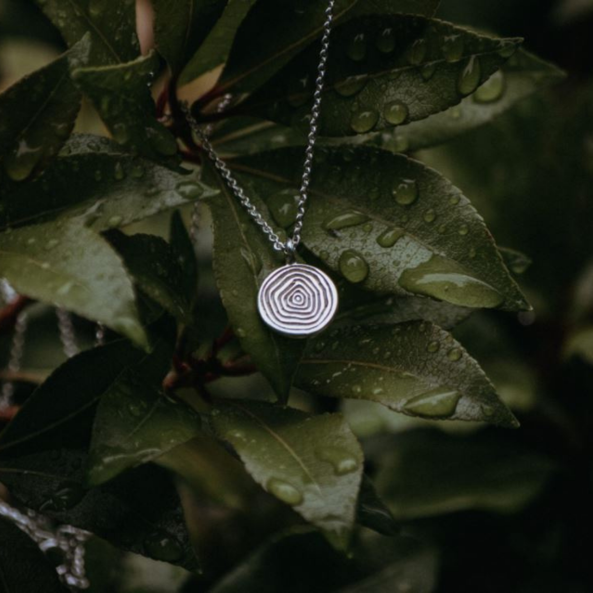 Silver Necklaces – All The Good Things From BC