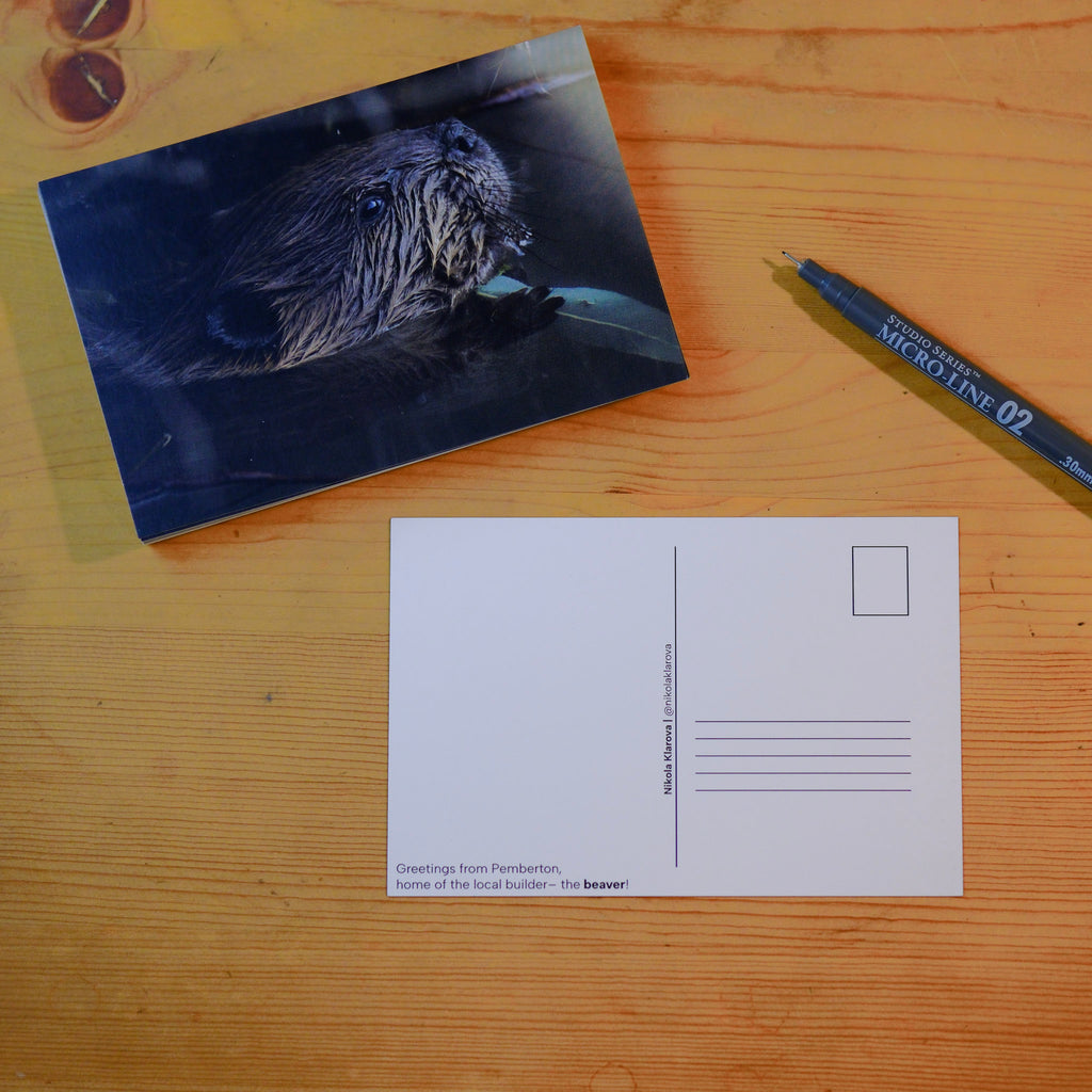 Postcard - Beaver by Nikola Klarova