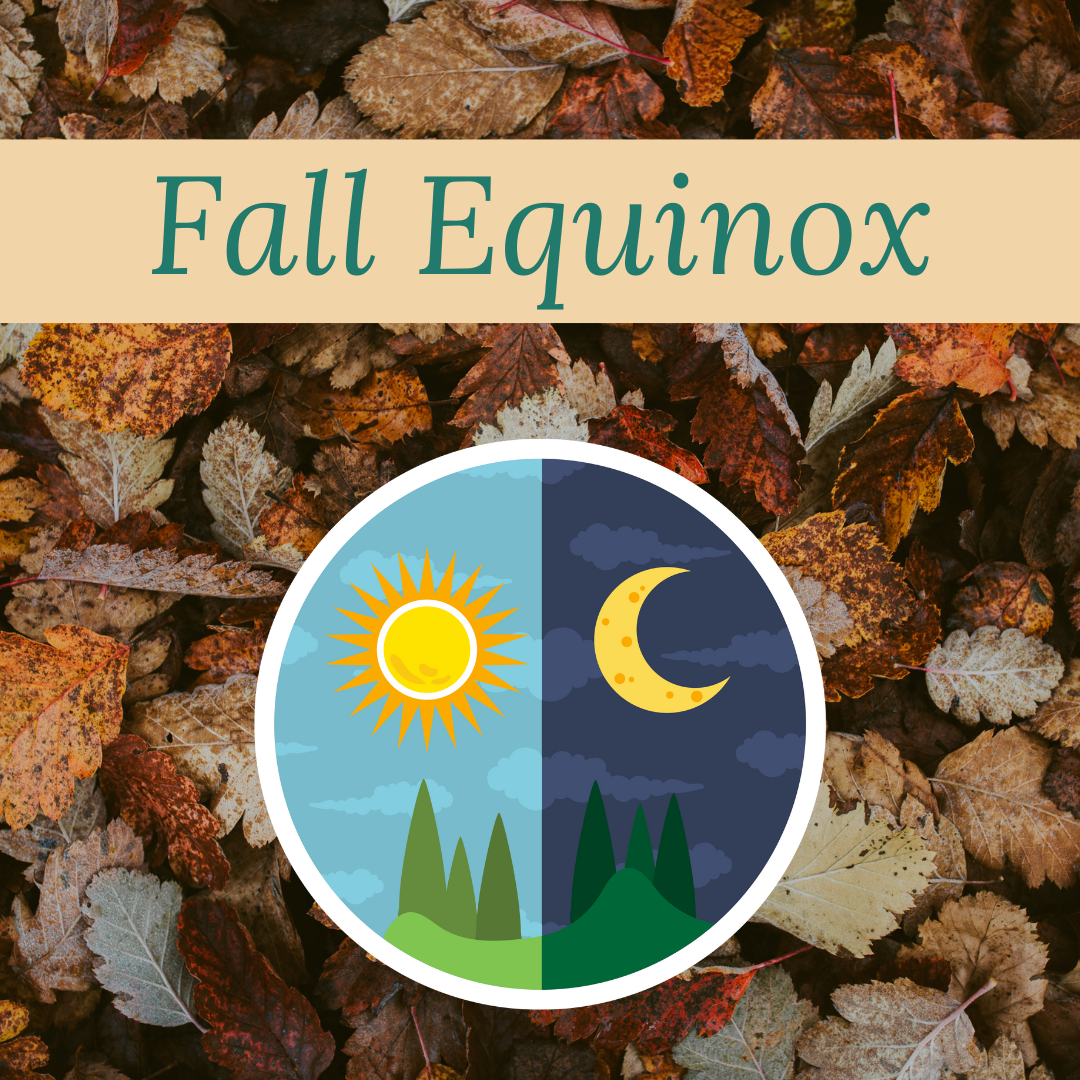 🍂 Slowing Down with the Seasons: A Fall Reflection – All The Good ...
