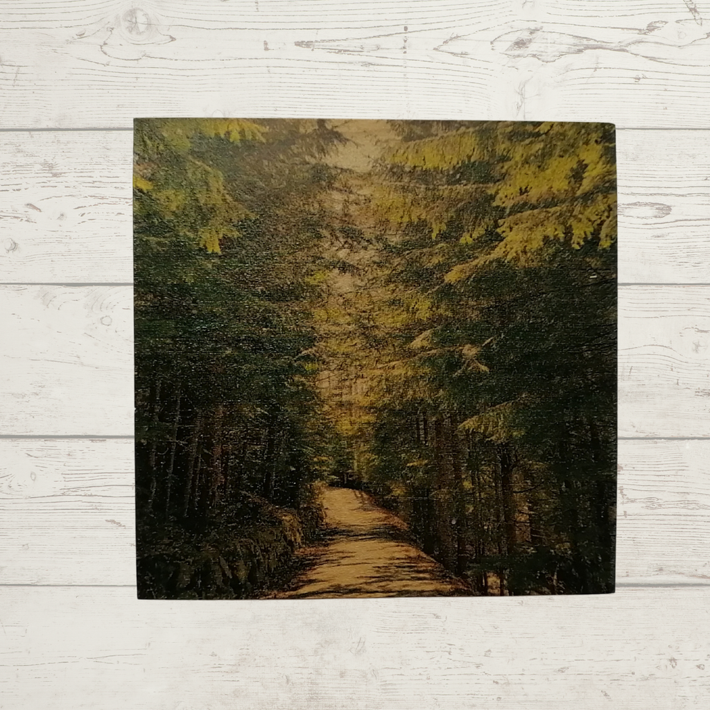 Wooden Coaster - Valley Trail #1 in Whistler by Adela Beranek