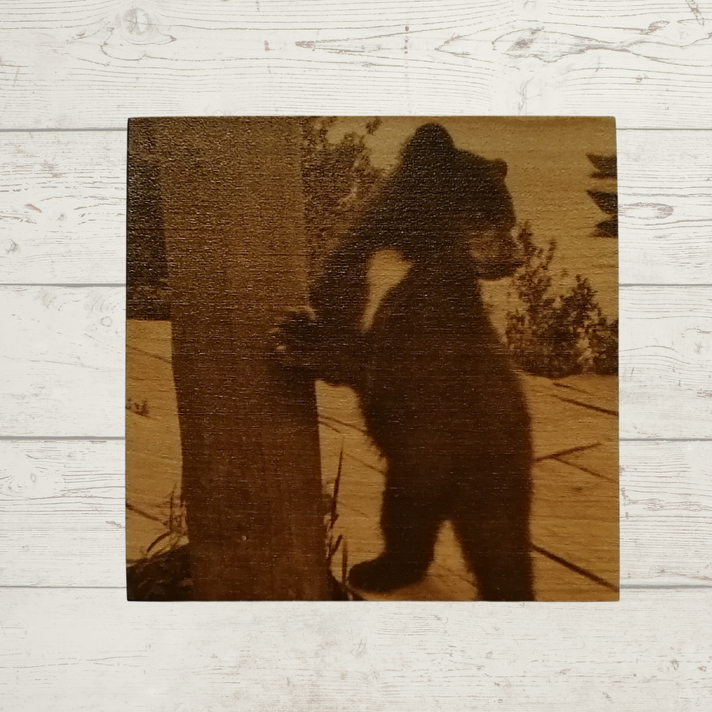 Wooden Coaster - Whistler Bear Cub by Whistler Museum