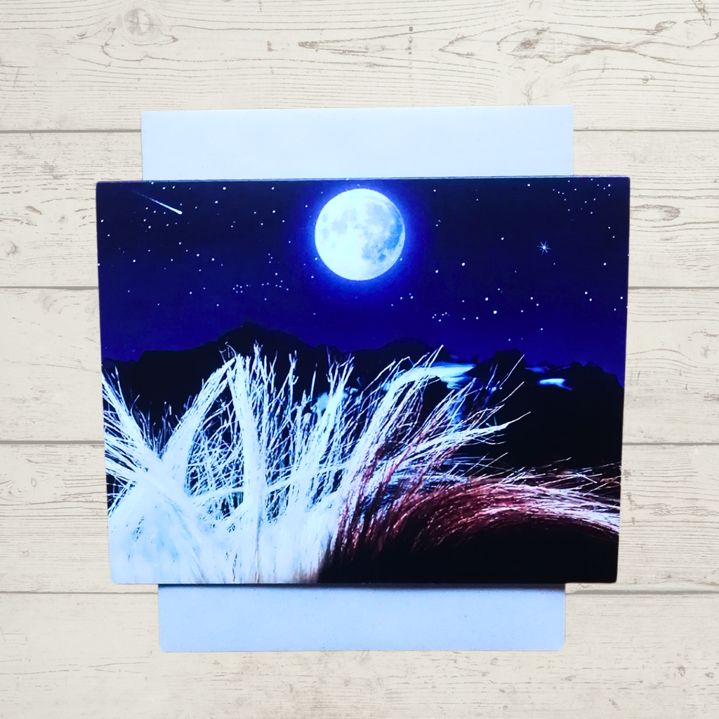 BC Art Greeting Card - Moonlit Grace by Adela Beranek & Oksana Danylchenko-Greeting Card-All The Good Things From BC-[bc art greeting card]-[bc landscape greeting cards]-[locally designed art card]-All The Good Things From BC