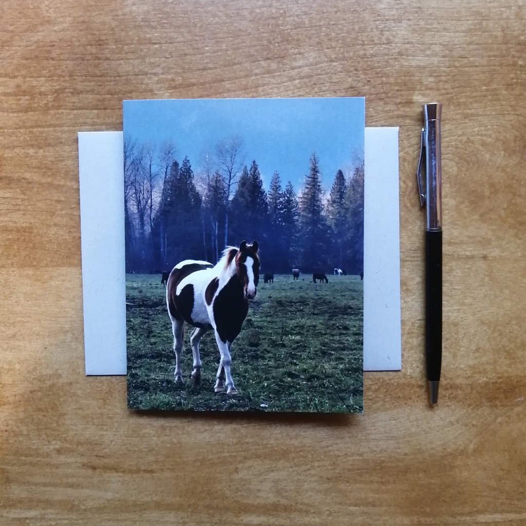 BC Art Greeting Card - The Wild Horse Coming Over by Adela Beranek-Greeting Card-All The Good Things From BC-[bc art greeting card]-[bc landscape greeting cards]-[locally designed art card]-All The Good Things From BC