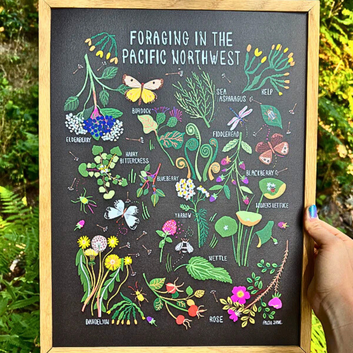 BC Wall Art Print - Foraging Plants in the Pacific Northwest by Anja J ...