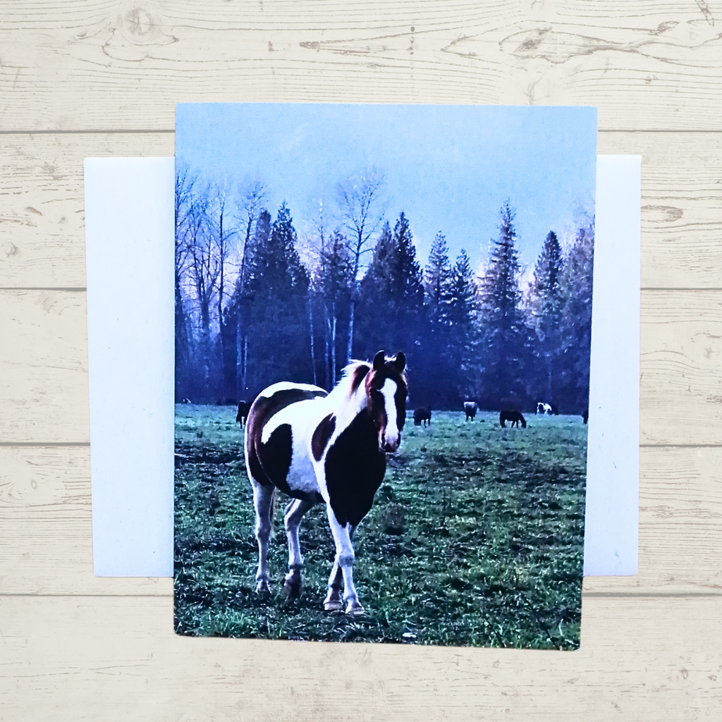 Greeting Card - The Wild Horse Coming Over by Adela Beranek-Card-All The Good Things From BC-[canada greeting cards]-[artsy greeting card]-[best local gift bc]-All The Good Things From BC