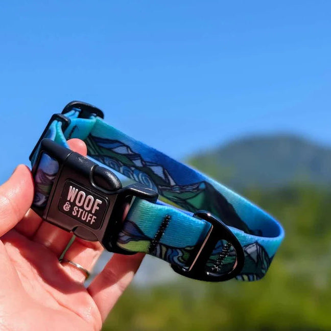 Waterproof Dog Collar – West Coast by Woof & Stuff (Medium, 1" Width)