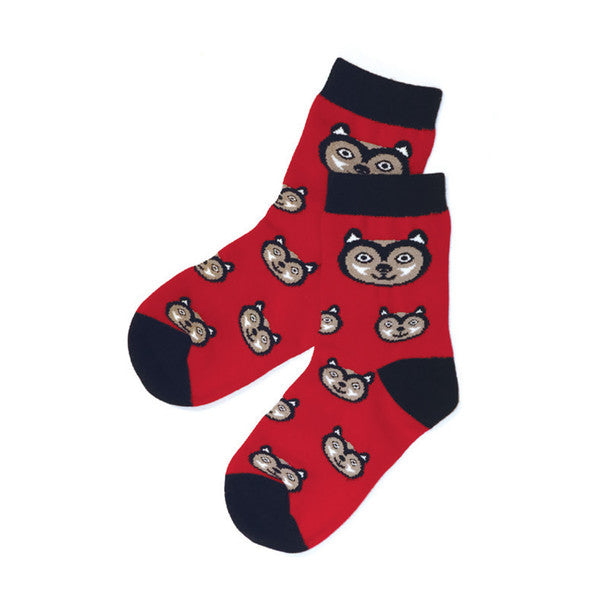 Red socks with raccoon pattern on a white background