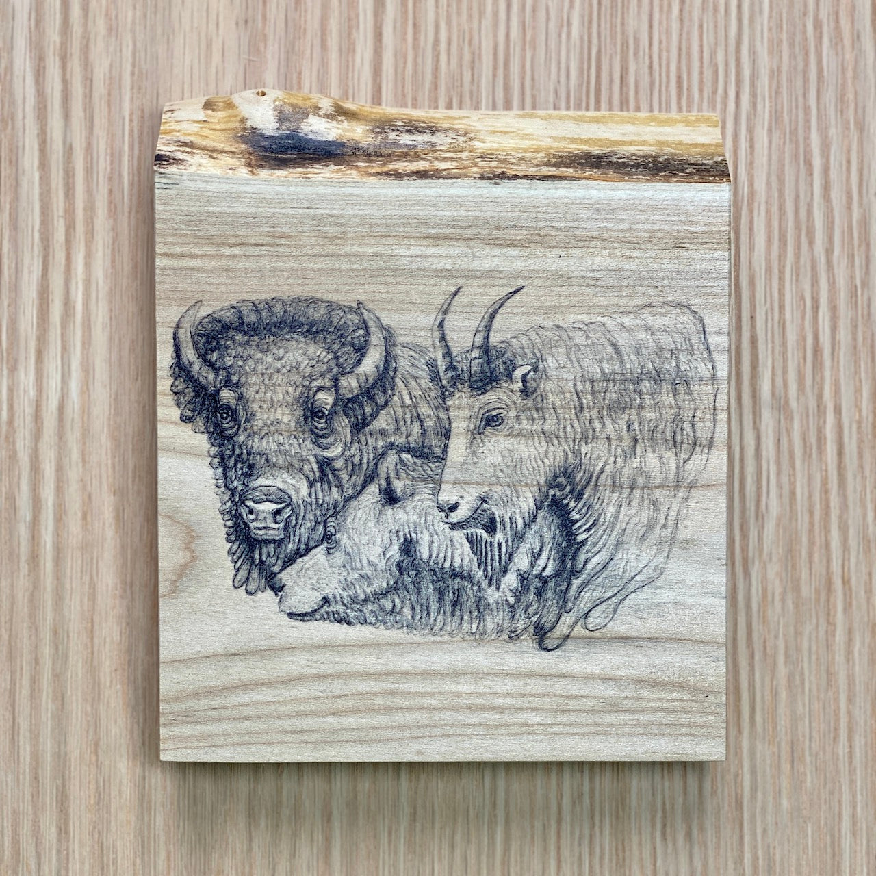 Live Edge Wood Wall Art Print - Trio by Michaela Ivancova Art (Small)