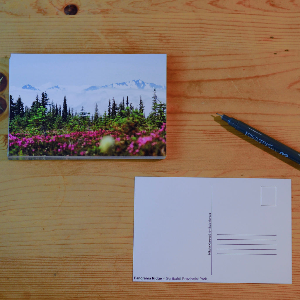 Postcard - Panorama Ridge with Wildflowers by Nikola Klarova