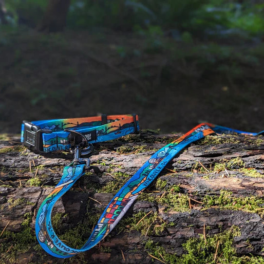 Dog Leash – Vancouver by Woof & Stuff (4 ft, 3/4" Width)
