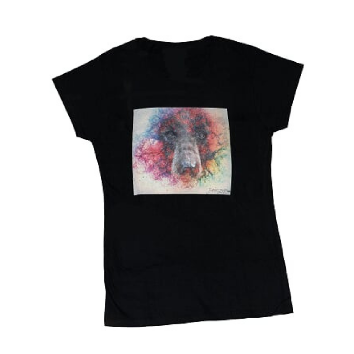 Women's T-Shirt - Rainbow Bear by Justin LeRose (Black)