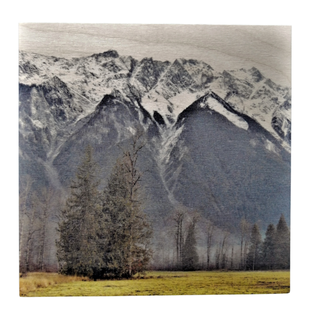 Wood Wall Art Print - Mountain Standing Tall by Adela Beranek (14x14, Plank)-Wood Wall Art Hanging-All The Good Things From BC-[made in bc]-[great bc gift]-[sustainable wall decor]-All The Good Things From BC