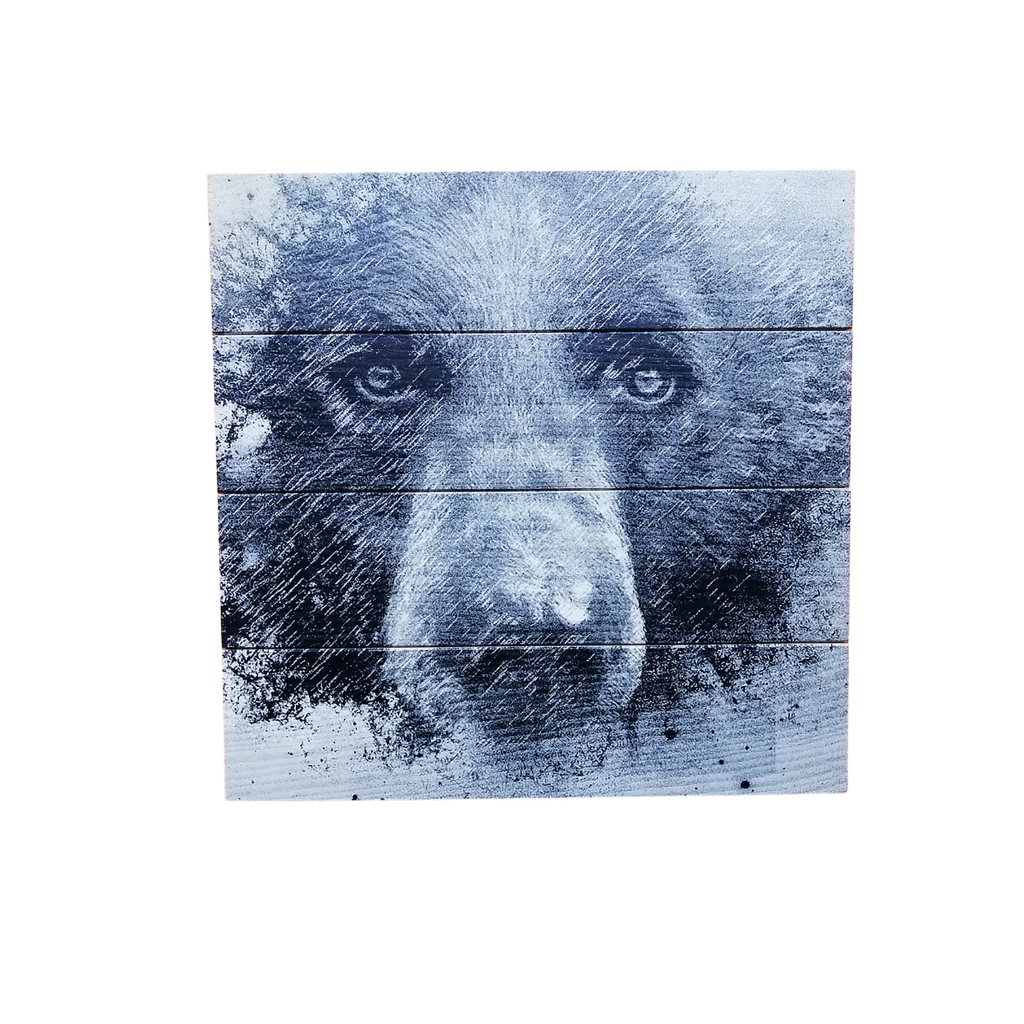 Wood Wall Art Print - Black Bear by Justin LeRose (14x14, Plank)-Wood Wall Art Hanging-All The Good Things From BC-[made in bc]-[great bc gift]-[sustainable wall decor]-All The Good Things From BC