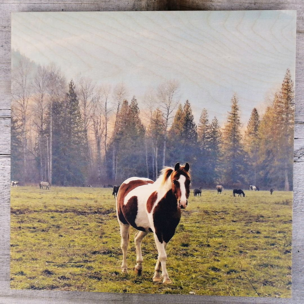 Wood Wall Art Print - The Wild Horse Coming Over by Adela Beranek (14x14, Birch, Plank)-Wood Wall Art Hanging-All The Good Things From BC-[made in bc]-[great bc gift]-[sustainable wall decor]-All The Good Things From BC