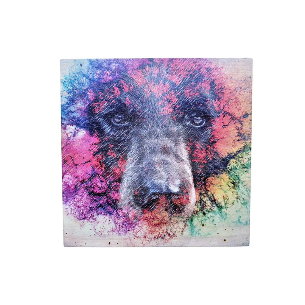 Wood Wall Art Print - Rainbow Bear by Justin LeRose (7x7, Maple)-Wood Wall Art Hanging-All The Good Things From BC-[woods decor]-[wood artwork for walls]-[wooden art]-All The Good Things From BC