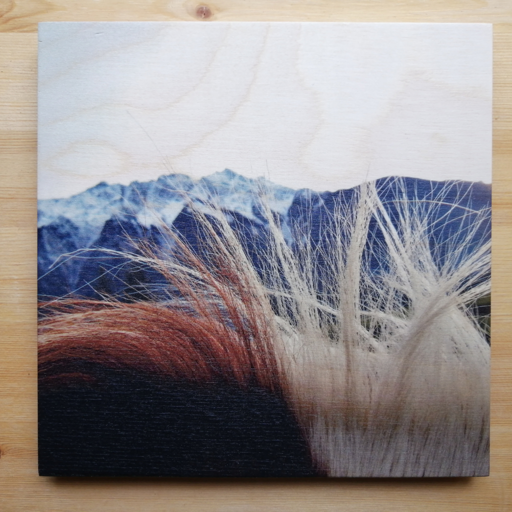 Wood Wall Art Print - Mountains & Mane by Adela Beranek (7x7, Plank)-Wood Wall Art Hanging-All The Good Things From BC-[made in bc]-[great bc gift]-[sustainable wall decor]-All The Good Things From BC