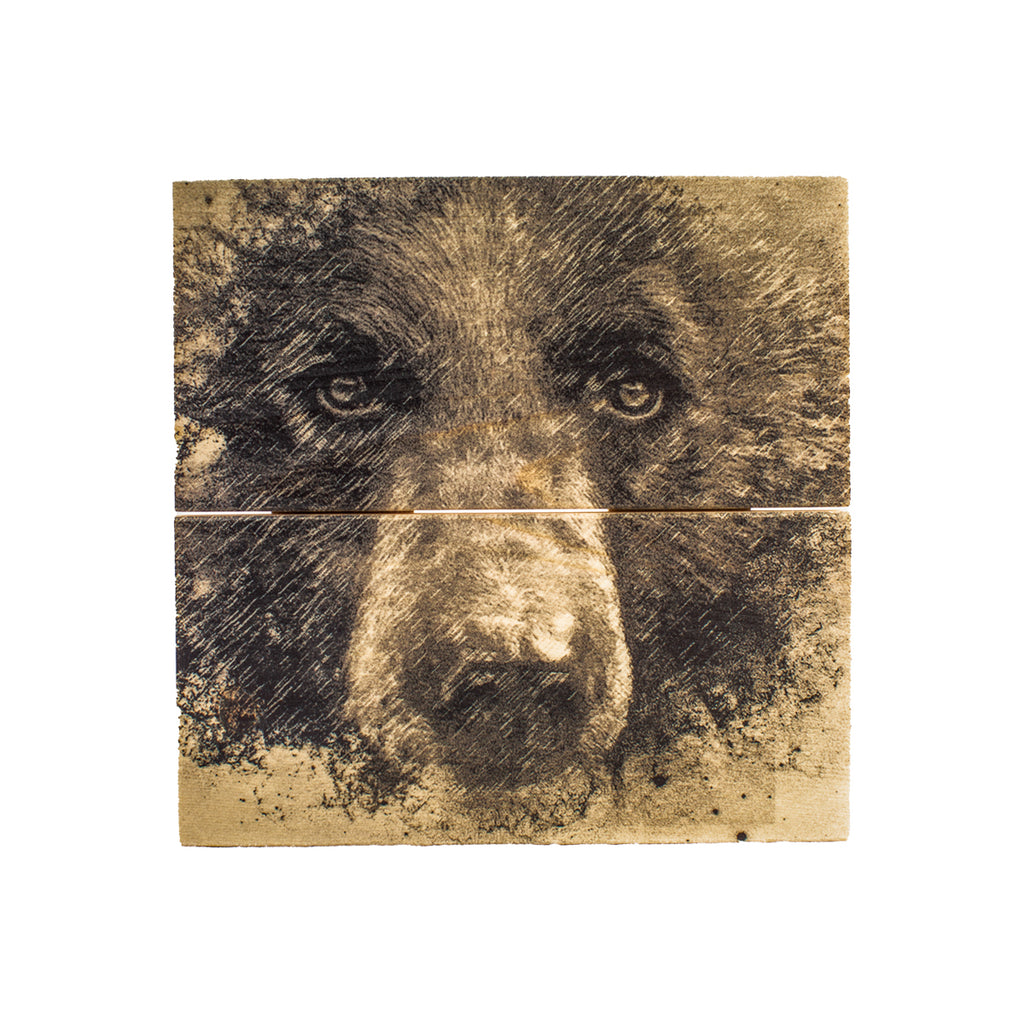 Wood Wall Art Print - Black Bear by Justin LeRose (7x7, Plank)-Wood Wall Art Hanging-All The Good Things From BC-[made in bc]-[great bc gift]-[sustainable wall decor]-All The Good Things From BC