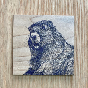 Wood Coaster - Alpine Marmot by Michaela Ivancova Art