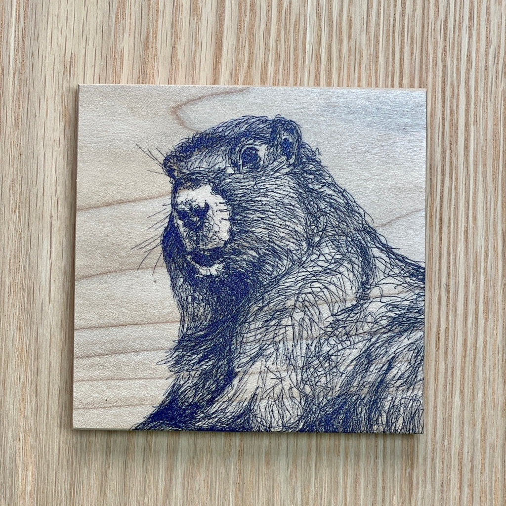 Wooden Coaster - Alpine Marmot by Michaela Ivancova-Coaster-MachiMela Art-[female whistler artist]-[wood coaster made in british columbia]-[unique bc gift souvenir canada]-All The Good Things From BC