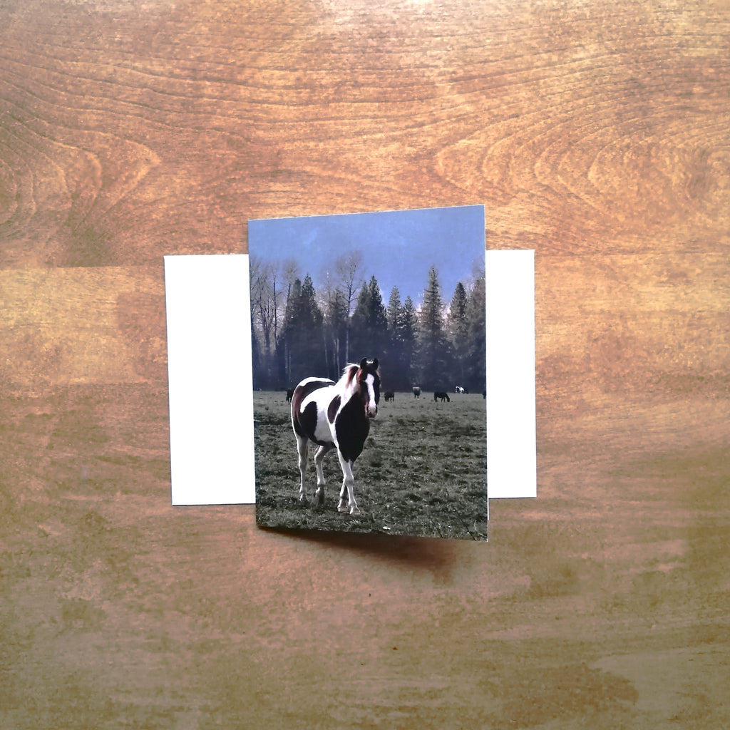 Greeting Card - The Wild Horse Coming Over by Adela Beranek-Card-All The Good Things From BC-[printed in whistler bc]-[unique bc greeting cards]-[cards british columbia]-All The Good Things From BC