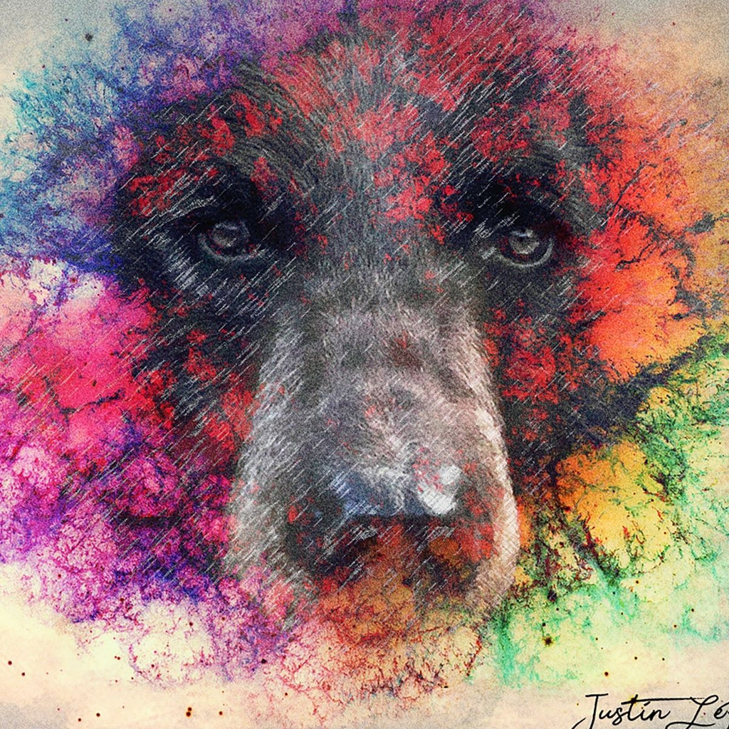 Wall Art Print - Rainbow Bear by Justin LeRose (10x8, Paper)