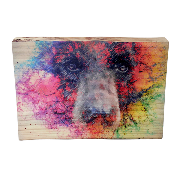 Live Edge Wood Wall Art Print - Rainbow Bear by Justin LeRose (Large)