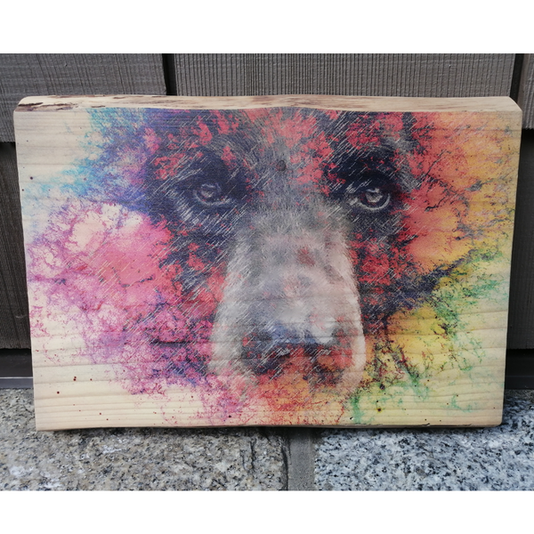Live Edge Wood Wall Art Print - Rainbow Bear by Justin LeRose (Large)