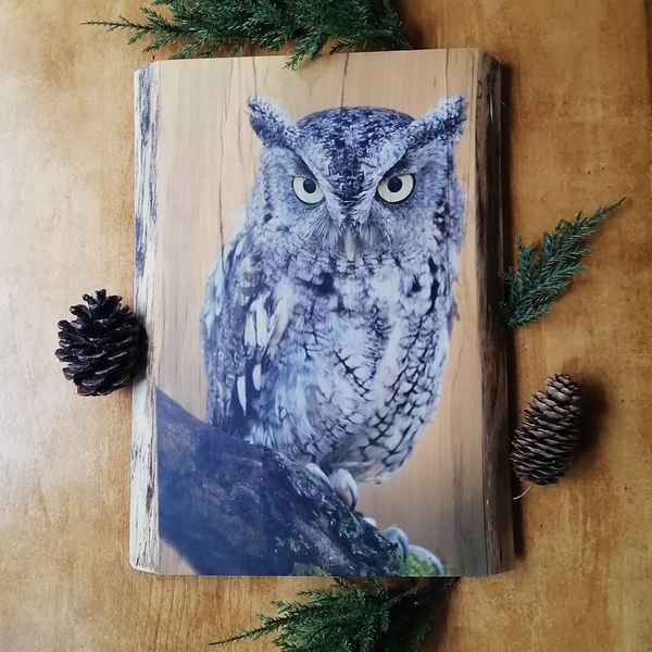 Live Edge Wood Wall Art Print - Screech Owl (Large)