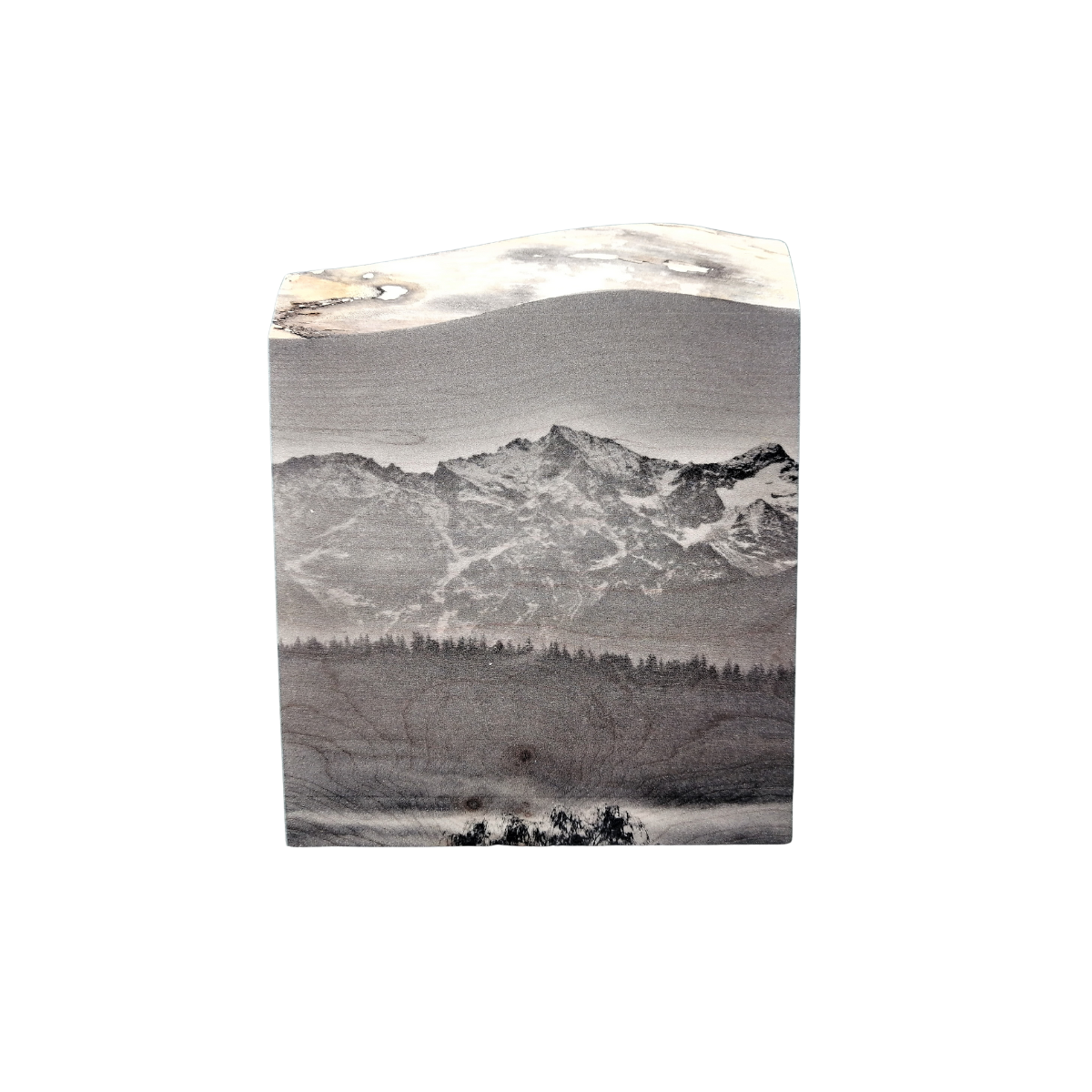 Live Edge Wood Wall Art Print - Morning Ts'zil / Mt.Currie by Adela Beranek (Small)