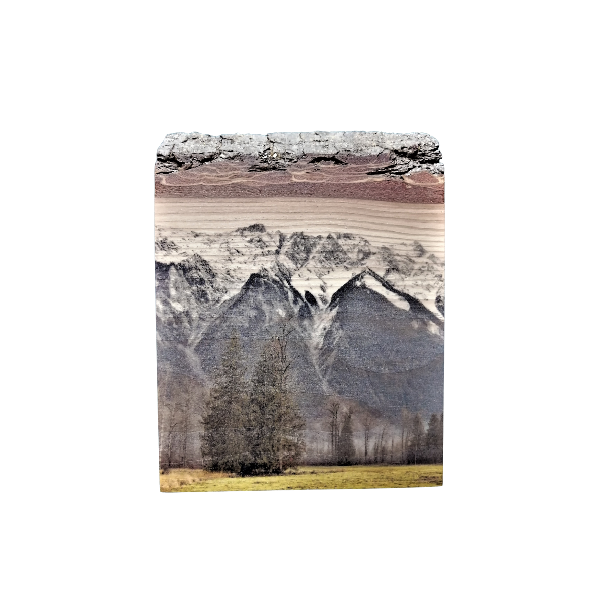 Live Edge Wood Wall Art Print - Mountain Standing Tall by Adela Beranek (Small)