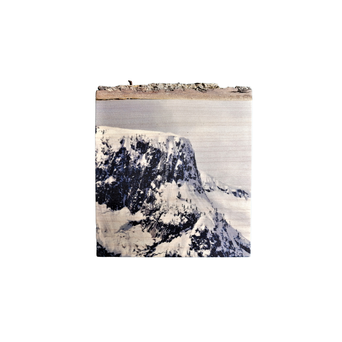Live Edge Wood Wall Art Print - Table Mountain by Martin Bell (Small)
