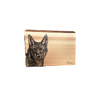 Live Edge Wood Wall Art Print - Coyote by Michaela Ivancova Art (Small)-Wood Wall Art Hanging-MachiMela Art-[bc artist]-[local bc gift]-[original artwork bc]-All The Good Things From BC