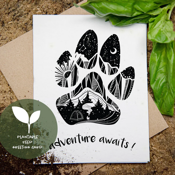 Plantable Greeting Card - Adventure Awaits by Mountain Mornings
