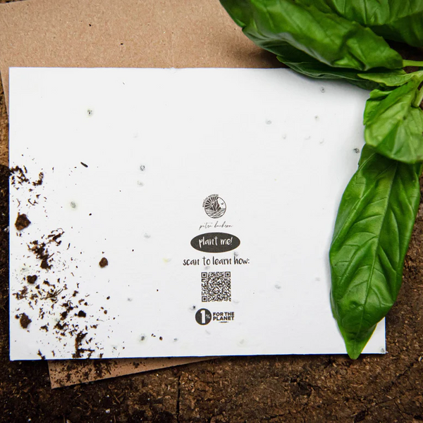 Plantable Greeting Card - Thank You For Bearing With Me by Mountain Mornings