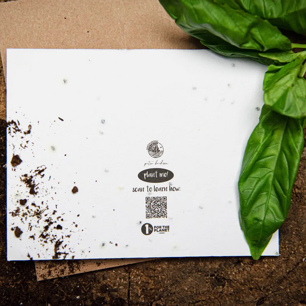 Plantable Greeting Card - Good Luck With Your New Adventure by Mountain Mornings