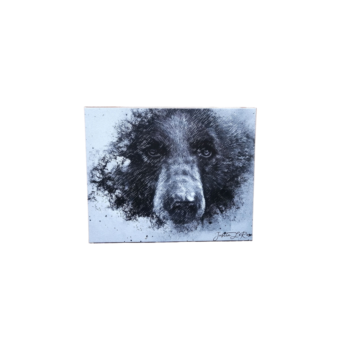 Wall Art Print - Black Bear by Justin LeRose (10x8, Paper) – All