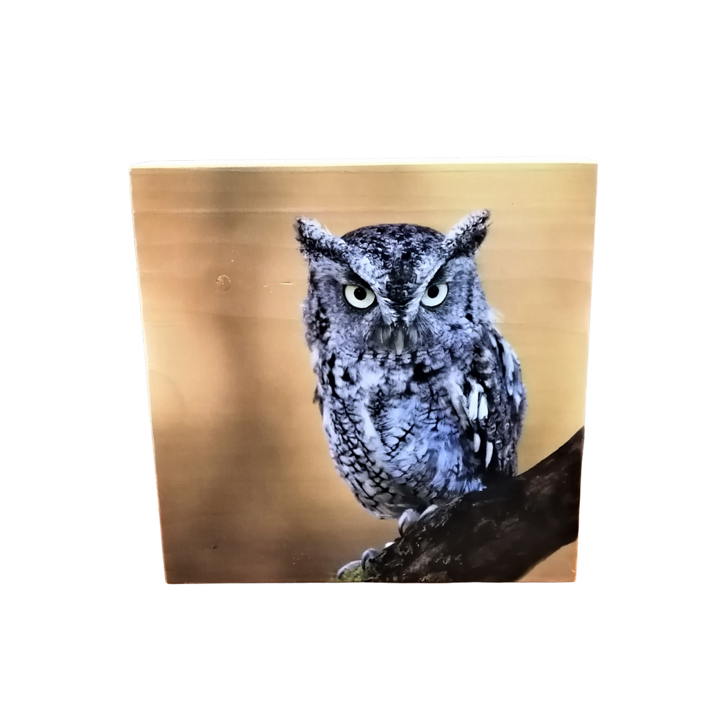 photo on wood block screech owl made in bc great gift idea perfect gift