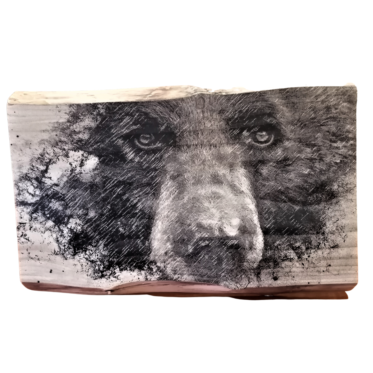 Live Edge Wood Block Print - Large - Bear by Justin LeRose-Wood Block-All The Good Things From BC-[rustic home decor]-[made in canada]-[made in bc]-All The Good Things From BC