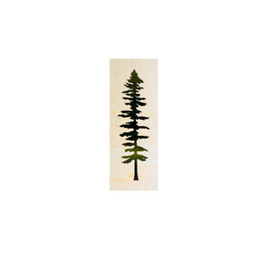 Wood Wall Art Print - Sitka Tree (5x14, Maple)