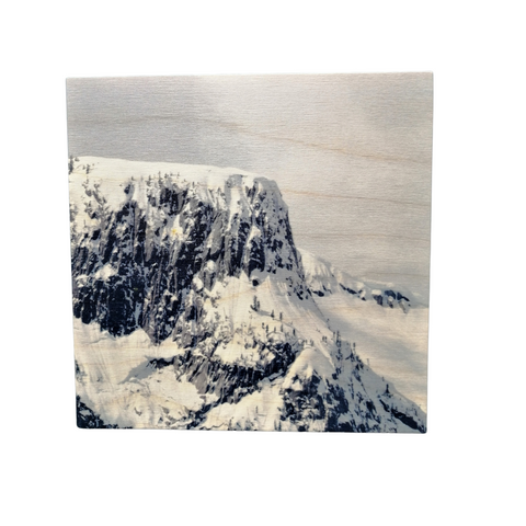 Wood Wall Art Print - Table Mountain by Martin Bell (7x7, Birch)